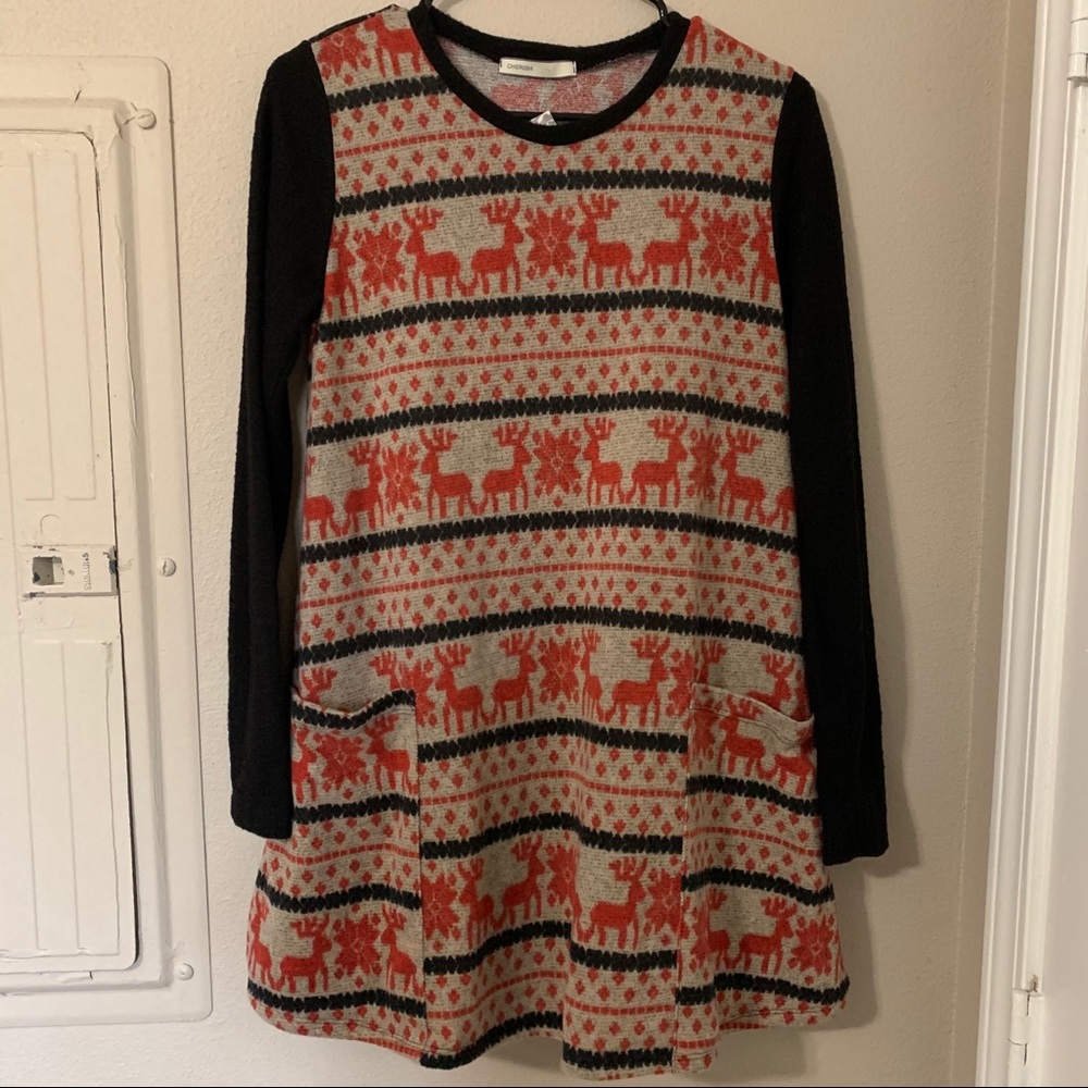 NWT Winter Fleece Dress